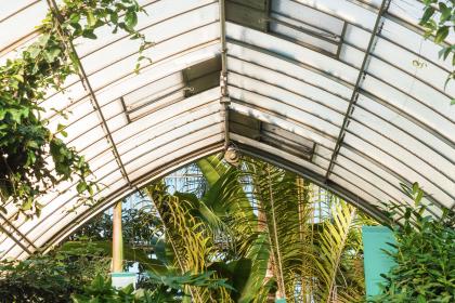 了解太阳城网络赌博平台的法律风险与防范措施