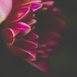 九州娱乐平台的安全性与用户隐私保护措施解析 046oa5z