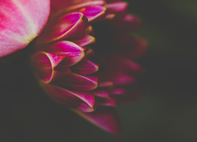 九州娱乐平台的安全性与用户隐私保护措施解析