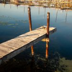 了解365bet官网平台的注册流程与用户体验,轻松上手 2p7dk