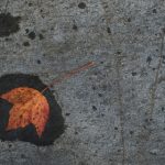 九亿娱乐与传统娱乐行业的融合与挑战探讨 3wgzy007w7