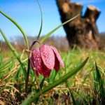 云顶在线赌博:探索虚拟赌场的无限魅力与乐趣 d2720ep1xh