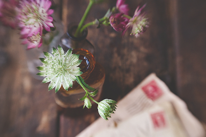 九游娱乐官方平台：如何注册与获取丰厚的游戏奖励