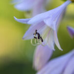 360直播网绿色直播平台:打造健康网络视听空间 14am2