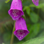 17025期足彩开奖结果揭晓,最新中奖号码公布 377oaqu