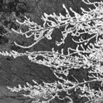 17054期开奖结果揭晓:幸运号码震撼公布 37b6i