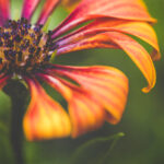 17048位数开奖结果震撼揭晓,创历史新高纪录 3vh54nvl