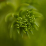 17038期足彩开奖结果揭晓:大奖花落谁家? 50kuiof40