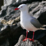 360直播网官网手机版高清体育赛事在线观看 5jdc1r