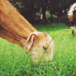 17013期足彩开奖结果揭晓,头奖花落谁家? at92vafo9