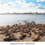 360直播官网:高清赛事与热门活动一站式观看平台 molkn3lj