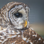 360直播倡导绿色直播,打造健康网络环境 mozkt4552