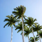 17048期足彩开奖结果揭晓,奖金分配详情公布 qkz3de5