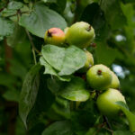 360直播体育:畅享高清流畅的在线赛事直播体验 u7jueiaqhj