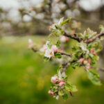 17031期足彩开奖结果揭晓,大奖花落谁家? wka1j9v