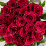 360直播日职乙联赛全程高清免费在线观看 x97ku77r